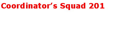 Text Box: Coordinator�s Squad 201